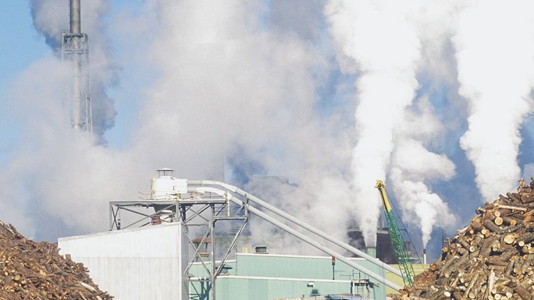 Pulp, paper, and packaging in the next decade: Transformational change