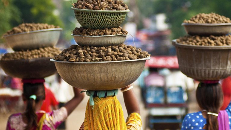 MoVest_PE_India_1536x1536_Original