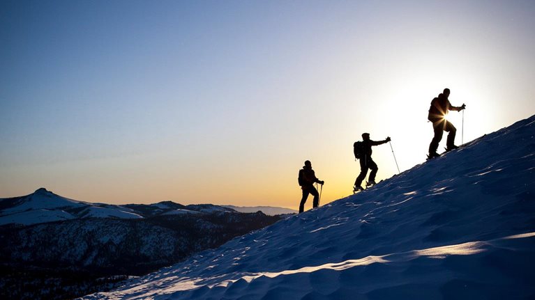 Build a case, build a following: Laying the groundwork to transform customer experience in government