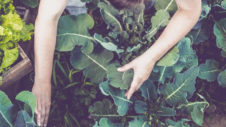 The path forward for sustainability in European grocery retail